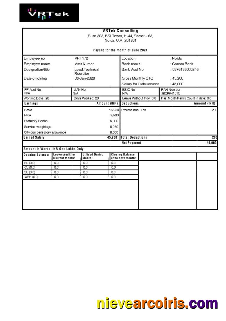 VRTek Consulting payslip